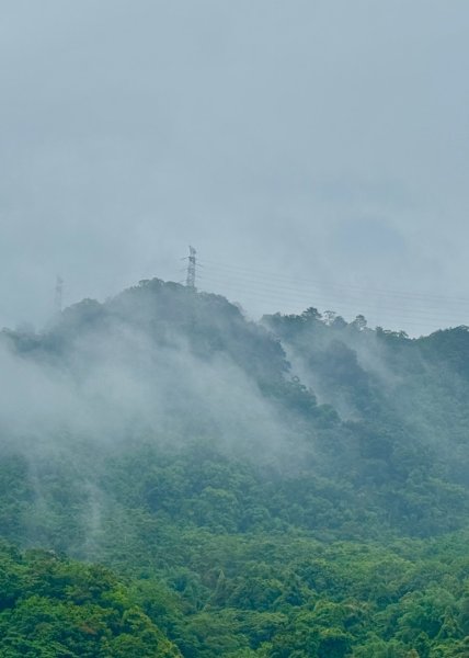 雨下的白毛山步道與白鹿吊橋2805307