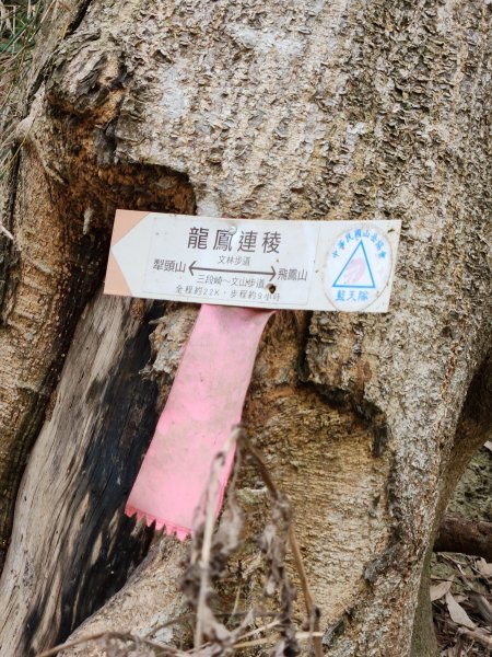 112/2/23龍鳳連稜2148200