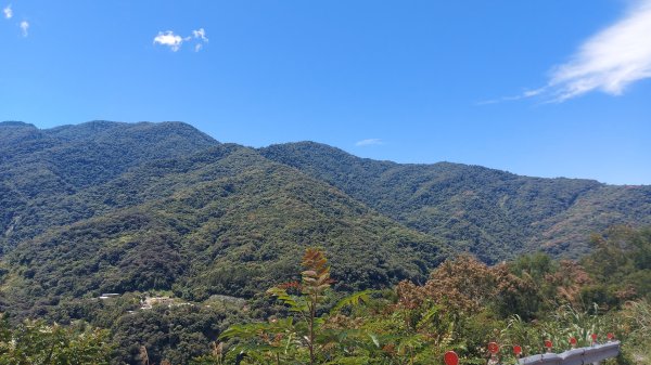 廬山六寶 老么 母安山1796863