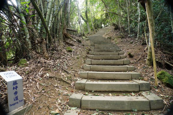 新竹 峨嵋 猿山、六寮山、玖玖山、獅頭山、獅尾山3012132