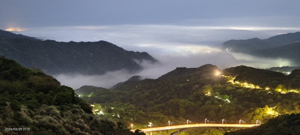 雲山水花鳥蝶-天龍國阿伯的日常 3/29-303026167