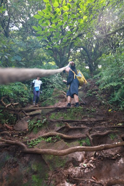 大屯山系十連峰2554046