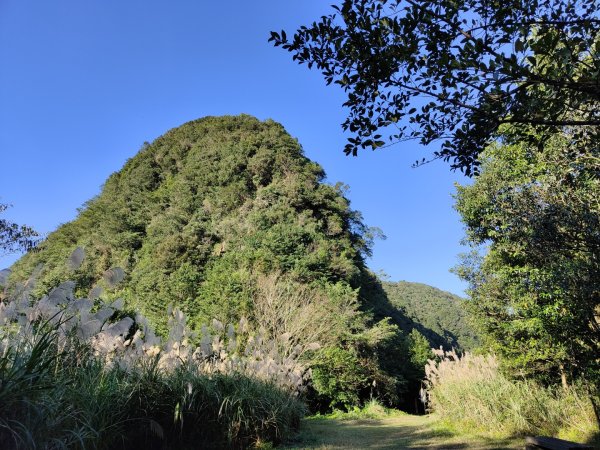 2023.12.08 新店獅仔頭山2678357