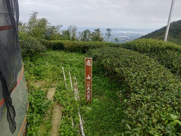 雲嘉十八連峰2589536