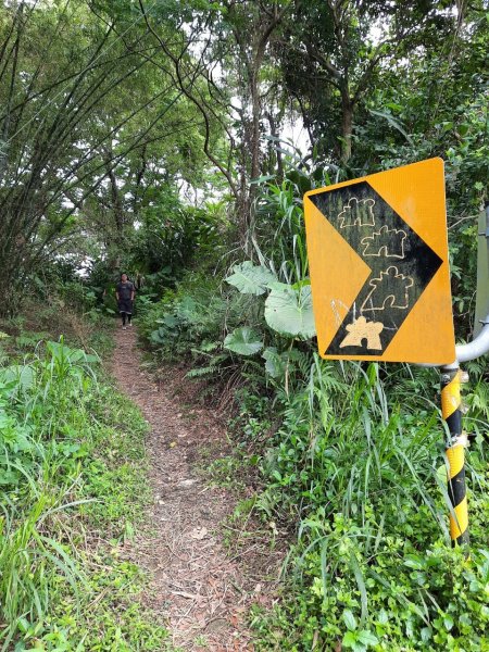 20230408 五指山越野15K賽前探路，隱家拉麵（咖哩），浩客豆花2100968