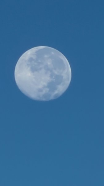 中央尖山 2025 11/7 三天兩夜2935748