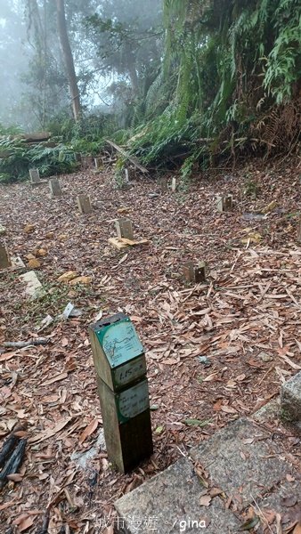 【南投魚池】中部四大名山之山高路遠。 水社大山登山步道2037915