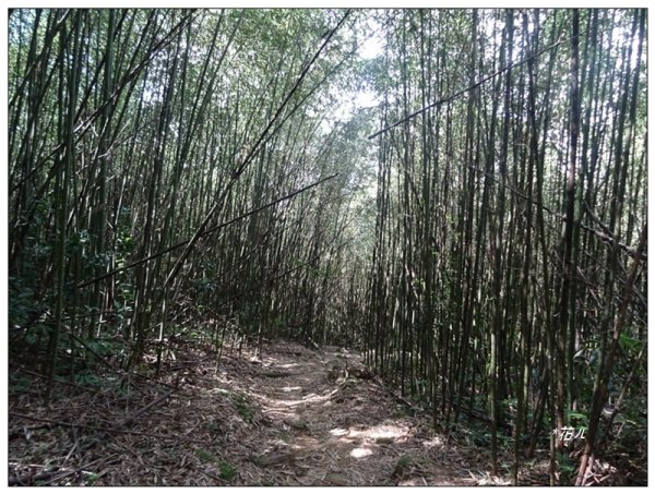 馬那邦山(小百岳)/上湖登山口2427072