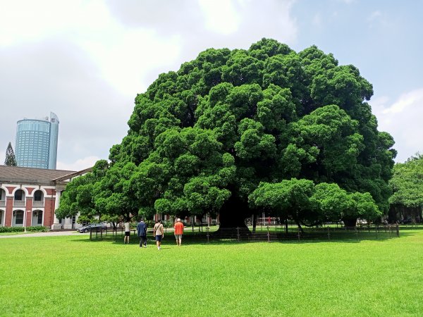 2-1 國立成功大學校園巡禮《臺南親子、人文、藝術、建築、美食之旅》1828031