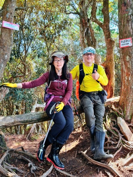 高島縱走202502152713811