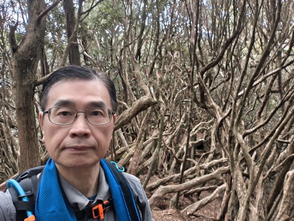 高島縱走、馬胎南坪古道2724278