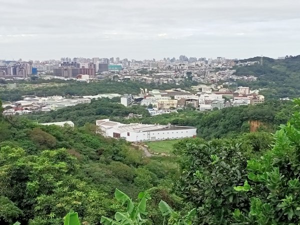 鶯歌忠義山、鶯歌蛋山、觀景山、鶯歌石山、鶯歌石O型快樂行【走路趣尋寶】1933760