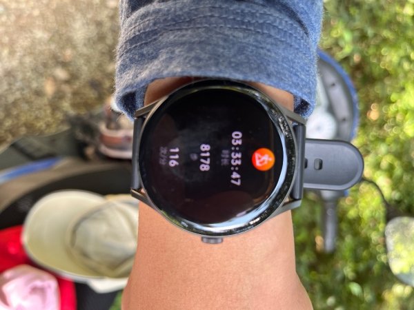 20251116_鳴海山（高雄小百岳）2941587