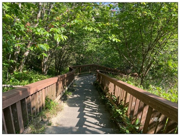 貓囒山 好多基石 (日月潭)2834892