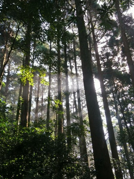 馬武督山，蓮包山，鴛鴦谷瀑布連走671678