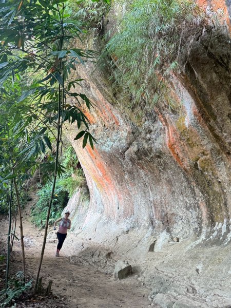 20250913_三峽鳶山爬山趣2882795