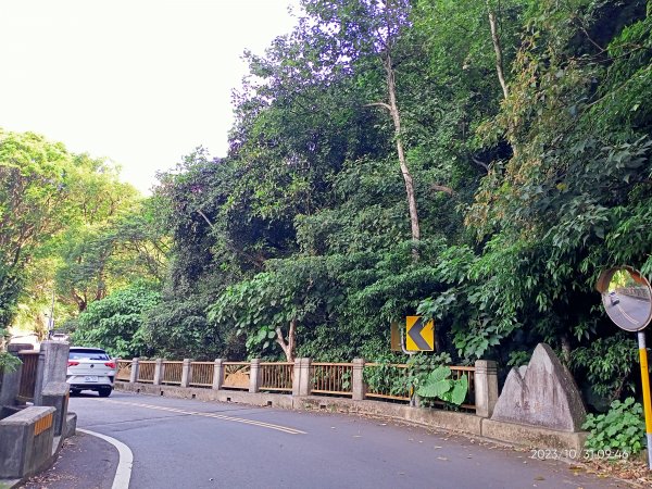 半嶺步道、松溪瀑布、橫嶺古道、湖山綠地【發現陽明山、走路趣尋寶】2332860