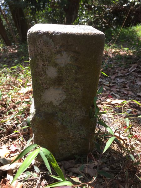 20220305高雄兔和山1633584