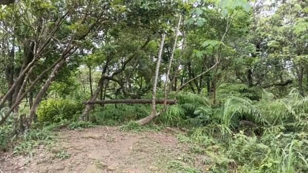 汐止區翠湖步道-學頭坡步道-老鷲尖-內溝山步道-翠湖P字走3051220