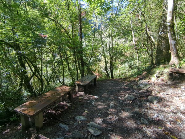 2026.01.03－鎮西堡B區神木群2981124