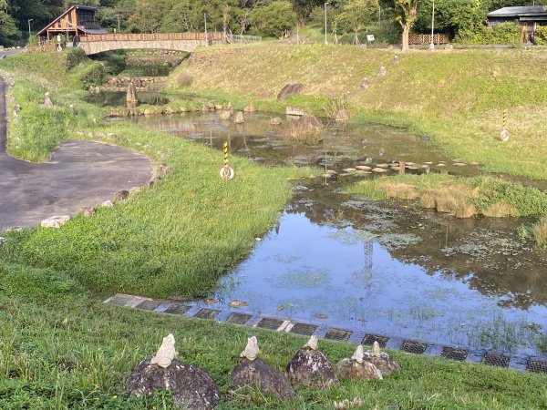 《金瑞治水園區開跑｜重訪金龍產道與碧山營地的暖陽晨跑》2951600