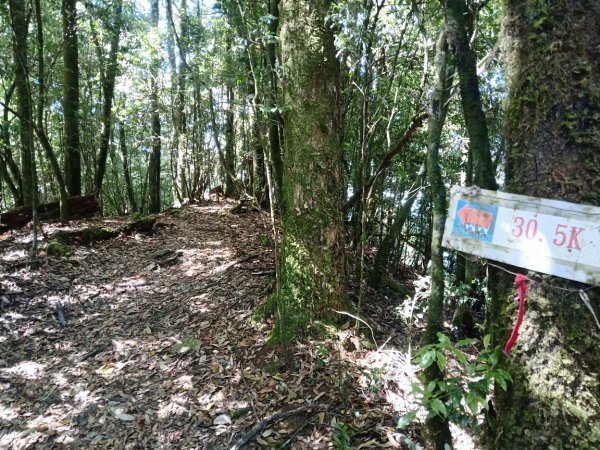 20230715_鳶嘴稍來步道2225148