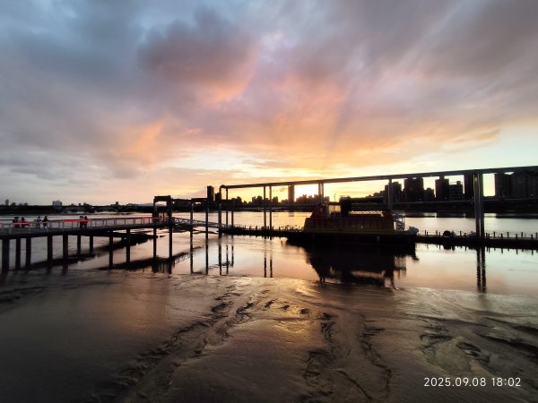 【臺北大縱走 8】萬壽橋頭(木柵)公車站→捷運關渡站［河濱自行車道］2882005