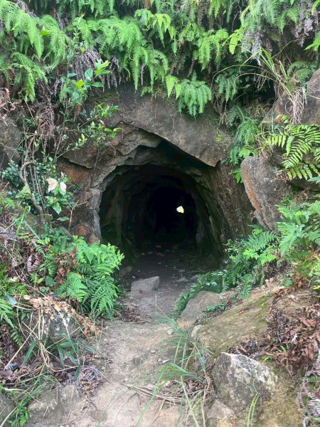 南雅安檢所-南子吝-小錐麓-保羅池-台糖-明隧道-南雅安檢所2894151