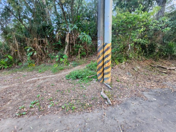 20250323慈湖草嶺山 ~ 五寮尖2781007