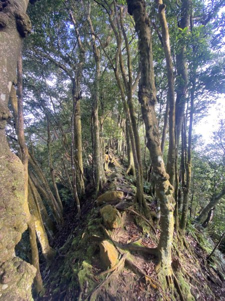 坐公車接駁的神仙縱走2707398