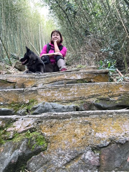 嘉雲二尖山、大尖山2734874