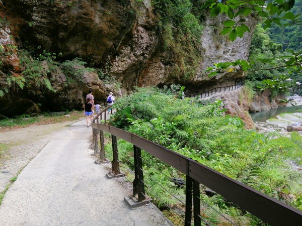 花蓮秀林~峻秀峽谷山水石壁畫~砂卡礑步道1039779