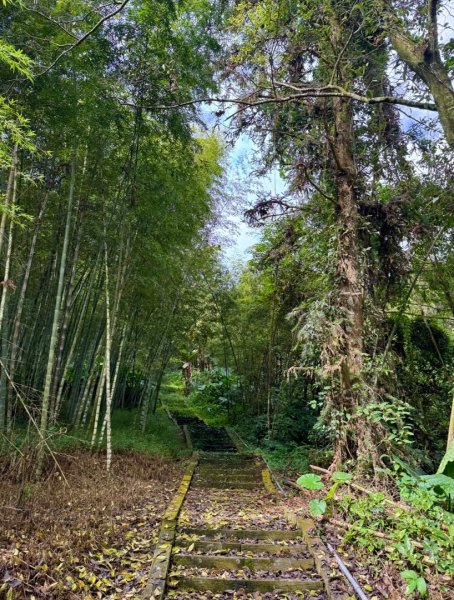 挑竹古道6號走小半天6連峰出孟宗竹林古戰場3108803