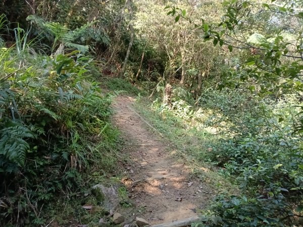 崩山坑古道+東柑腳山+後寮仔嶺+後寮子古道+後寮仔保甲路O型2750934