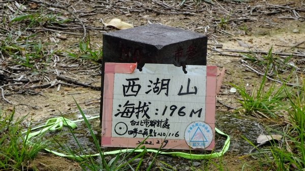 碧山天空步道2170803