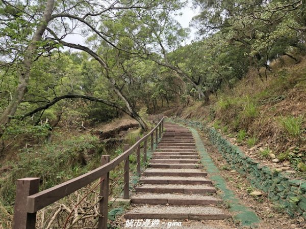 【台中龍井/大肚】竹坑南寮登山步道x瑞井登山步道O繞3031248