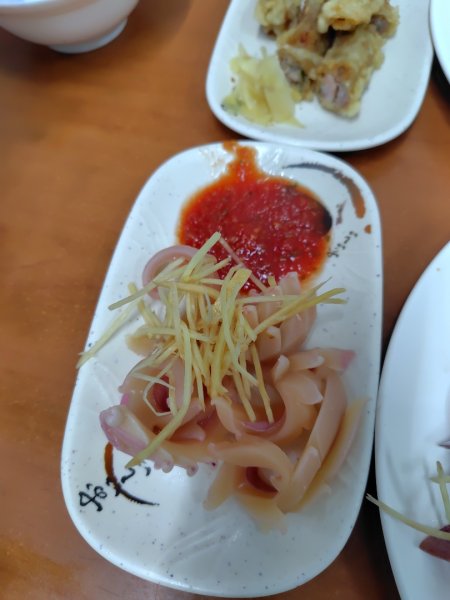 大棟山系南段 水利古道西口 上 竹高崙山 連走 鳥子嶺 坑仔內山 大崖山 下 龍目井農場2953219