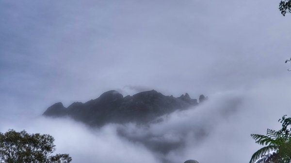 馬來西亞神山+鋼索探險2881705