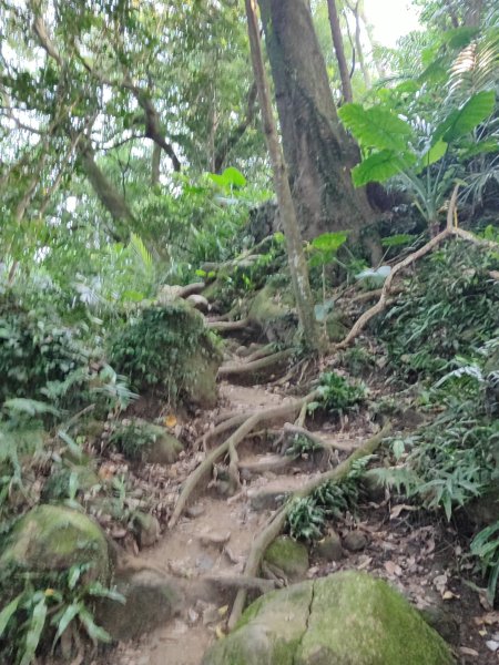 微笑山線：【鳶山山系】鳶山彩壁段2855456