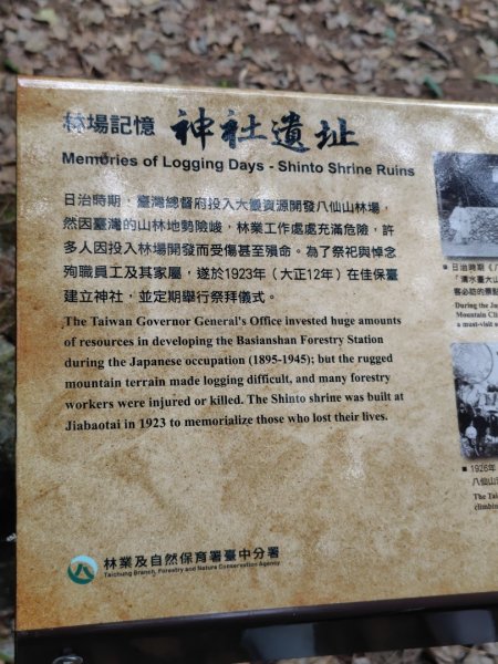 佳保台山3079390