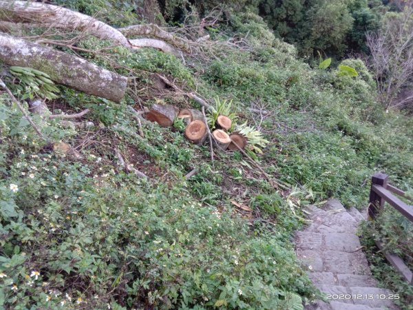  步道巡訪員 l 崁頭山步道12月份巡禮1204922