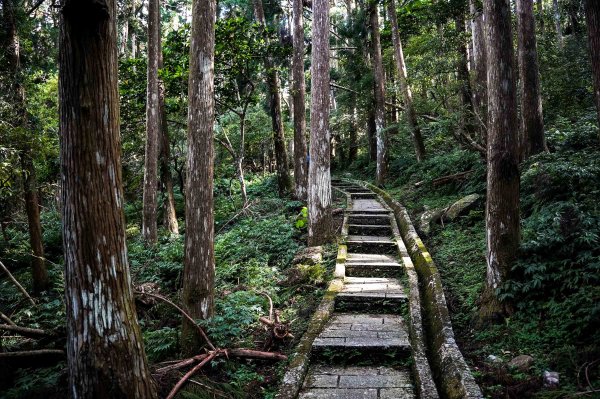滿月圓森林步道2870083