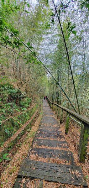 2025-01-19孝子路步道、大巃頂2694248