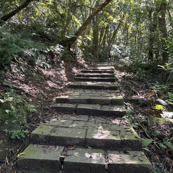 大崙頭山、大崙尾山2922660