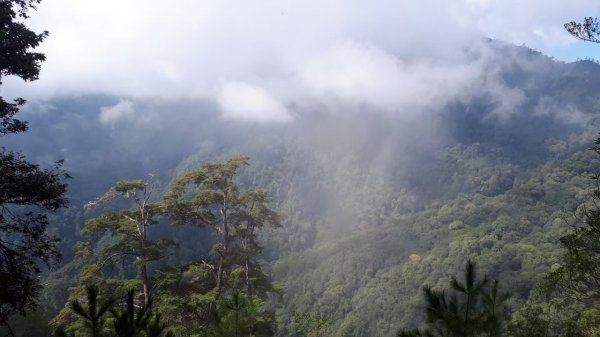 大雪山國家森林遊樂區1675073