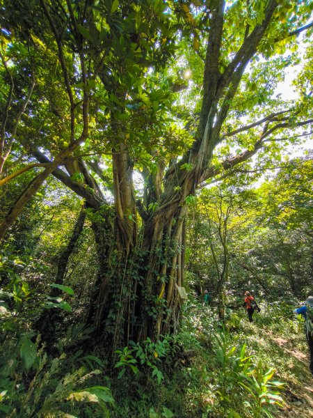 2026-10-04 基隆雙塔、劉銘傳隧道、獅球嶺西砲台3128828