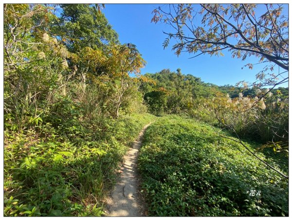 烏尖連峰縱走18基石 ( 唭哩岸山、軍艦岩、丹鳳山 )2980902