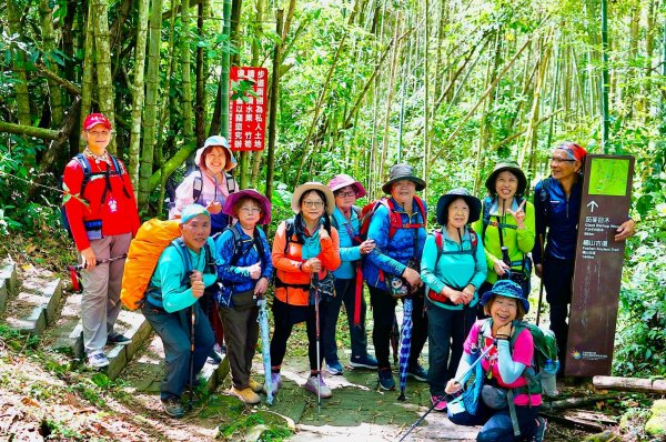 阿里山迷糊步道-福山古道2793434