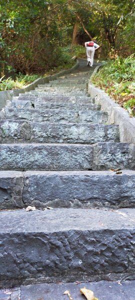 2020/10/02 占山步道3000106