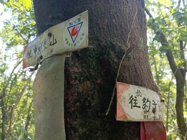 雙溪區豹子廚越嶺保甲路+北豹子廚山+中坑東山稜線O型2880086